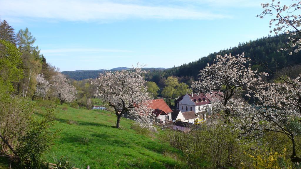 Penzion Padrtuv Mlyn Trebic Luaran gambar